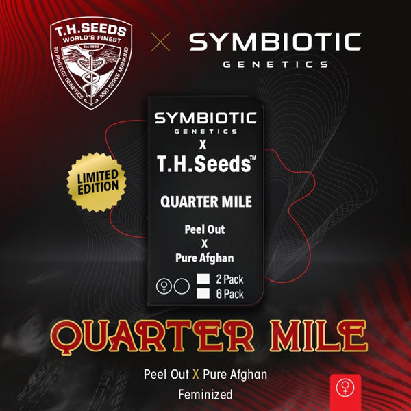 Quarter Mile 5 u. fem. T.H. Seeds X Symbiotic Genetics