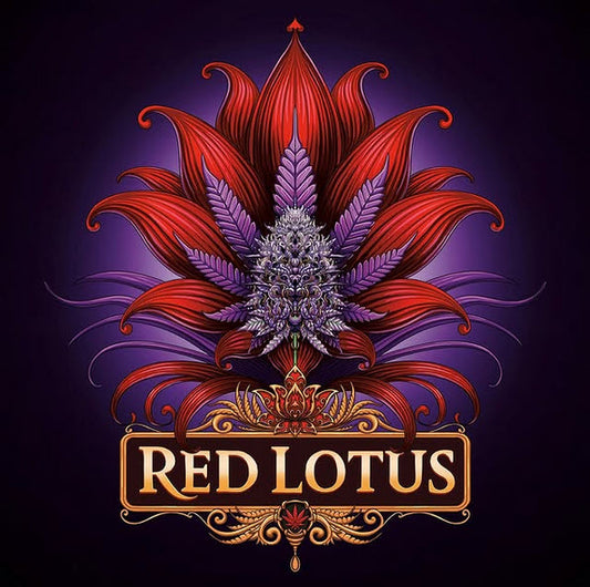 Red Lotus 7 fem units Conscious Genetics