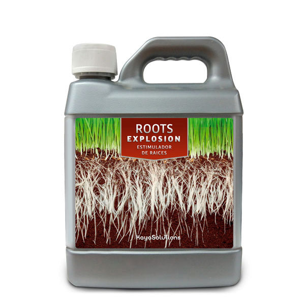 Roots Explosion 1 lt. Kayasolutions
