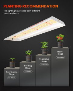 Spider Farmer SF-300 LED 33W diodos LED