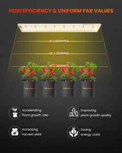 Spider Farmer SF-600 LED 74W diodos LED