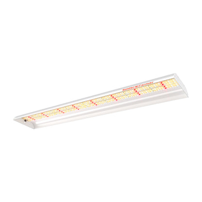 Spider Farmer SF-600 LED 74W diodos LED