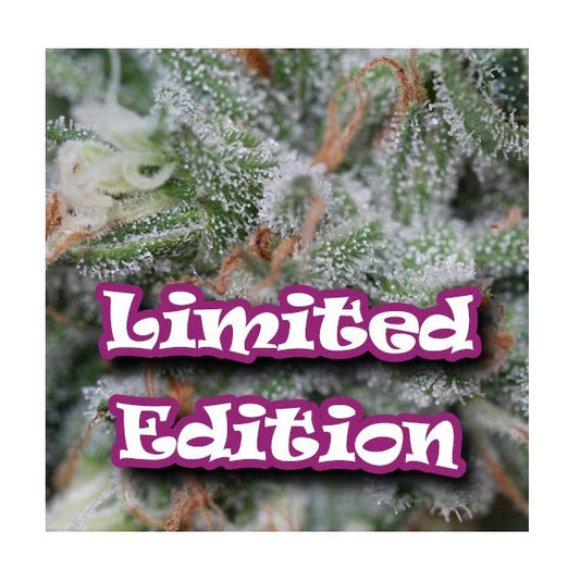 Soul Diesel Ltd. Ed. Dr. Underground