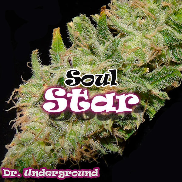 Soul Star 2 fem. units Dr Underground