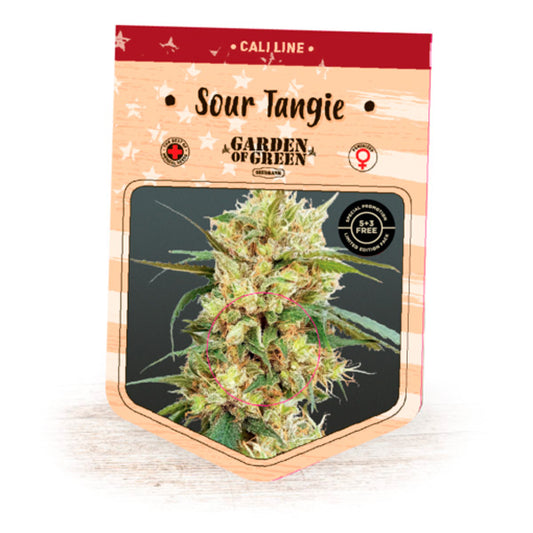 Sour Tangie 10 u. fem. Garden of Green Seeds