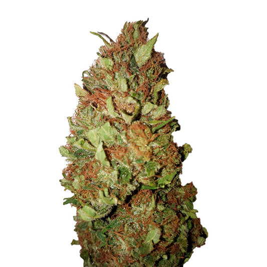 Sour Tsunami (0.4/22) 3 units fem. CBD+ Buds