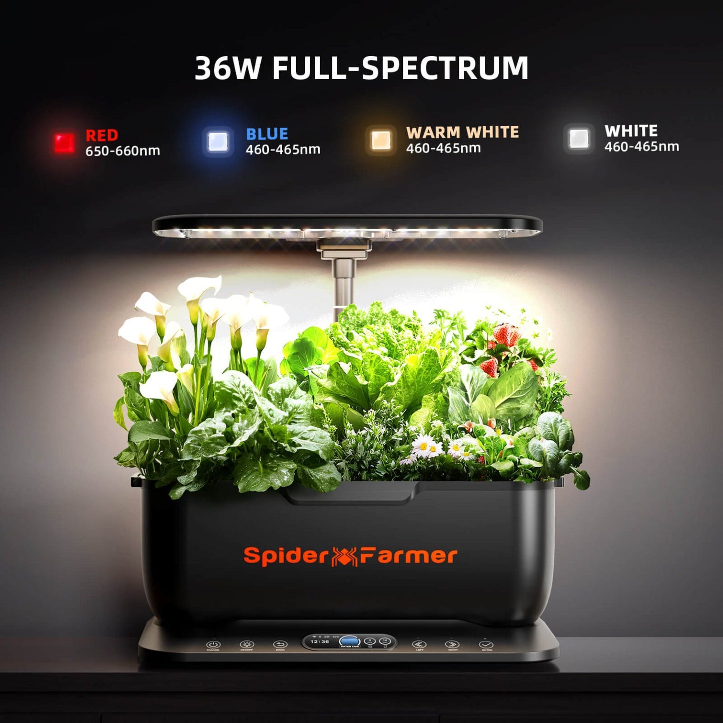 Spider Farmer SF-smartG12-New LED 36W