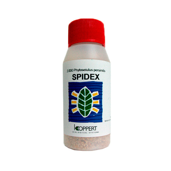 Spidex Phytoseiulus 2000 - Ragnetto Rosso