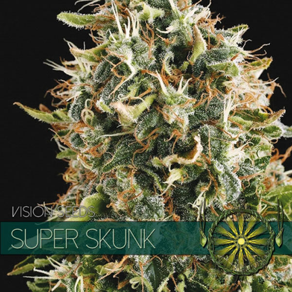 Super Skunk 3+1 pz. fem. Vision Seeds