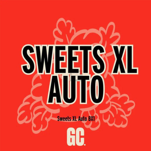 Sweets XL Auto  5 pz.  Grand Cru Genetics