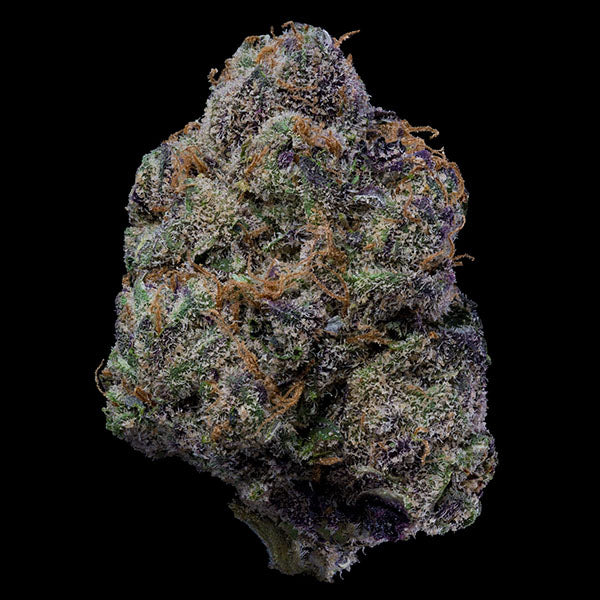 The Wolf 6 u. fem Cookies Seed Bank