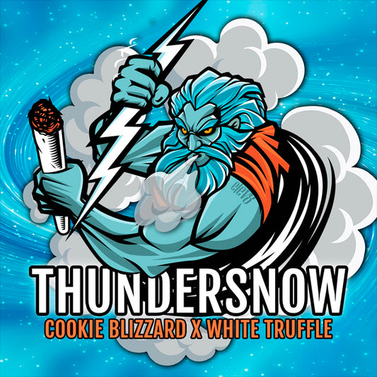 Thundersnow 3 ud. fem Elev8 Seeds