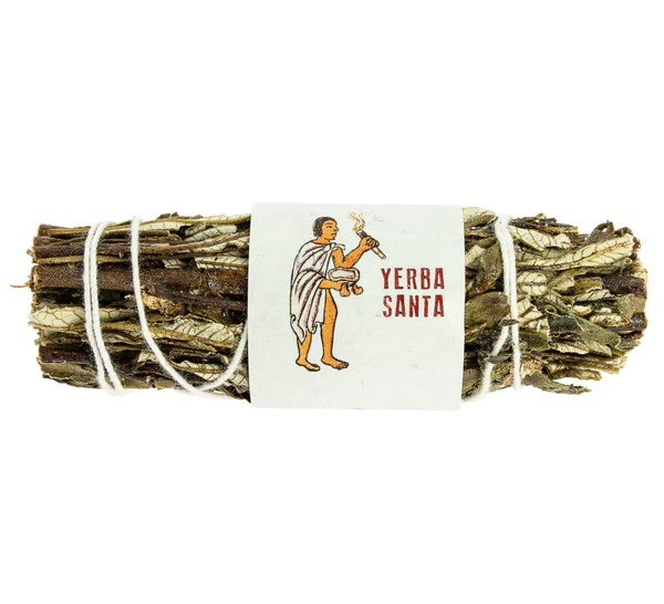 Yerba Santa Atado 8 a 10 cm.