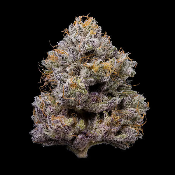 ZZ4 - 3 u. fem Cookies Seed Bank