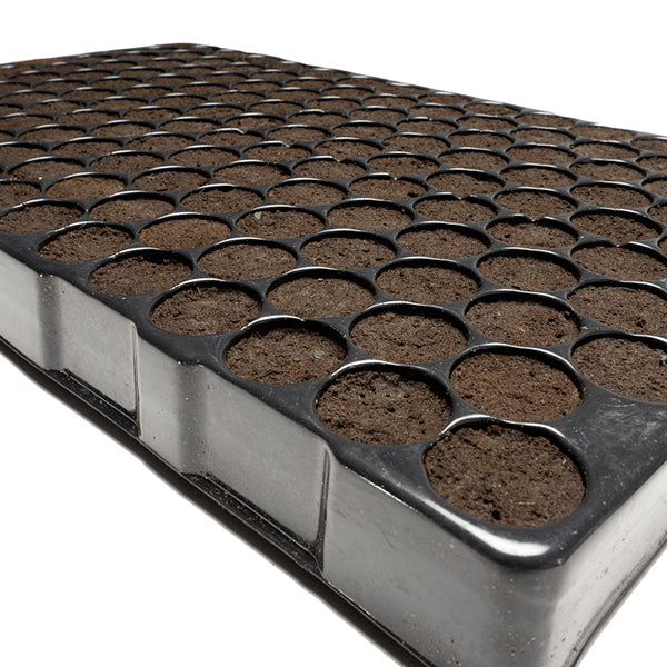 Caja de Bandejas Plugin Pro 150 Alveolos (8 Bandejas)