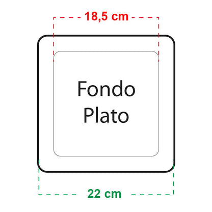 Plato Cuadrado 20x20 cm Easy Garden para Maceta 5,5 lt. y 7 lt. 265 ud.