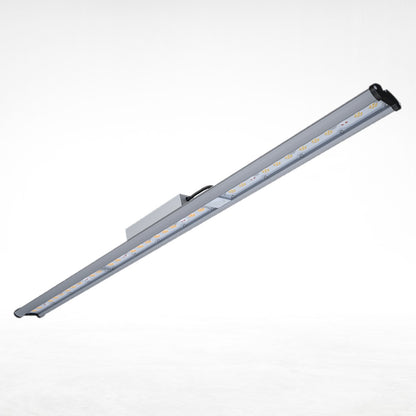 .Led Platinum  100 w  Daystar 230 µmol/s
