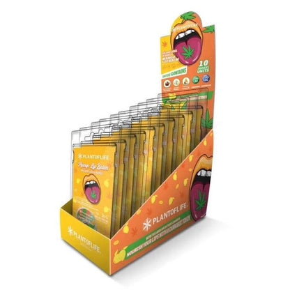Plant of Life Balsamo Cbd Mango 1 % Cbd  0.5 % Cbg 3 gr.