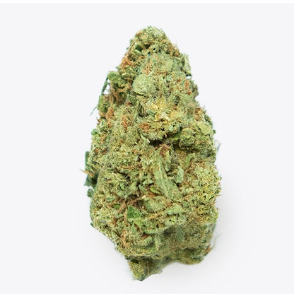 Cañamo Cbd Gorilla Grillz G.House Gelato 1 gr.