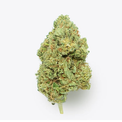 Hemp CBD Gorilla Grillz G.House Gelato 5 gr.