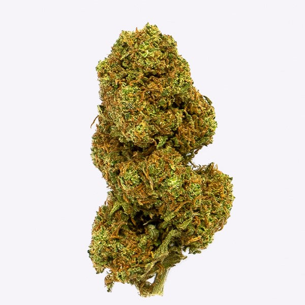 Canapa CBD Gorilla Grillz Outdoor Orange Cookies 5 gr.