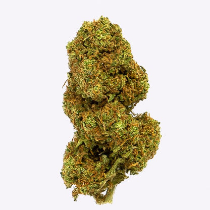 Cañamo Cbd Gorilla Grillz Outdoor Orange Cookies 25 gr.