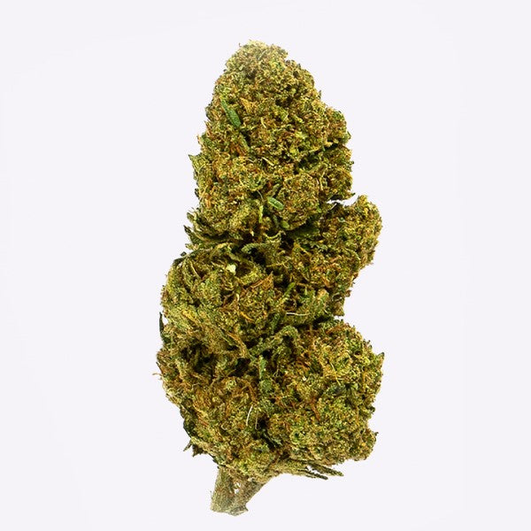Cañamo Cbd Gorilla Grillz Outdoor Lemon Haze 25 gr.