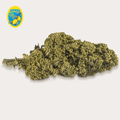Cañamo Cbd Xuxes Lemon 3 gr.