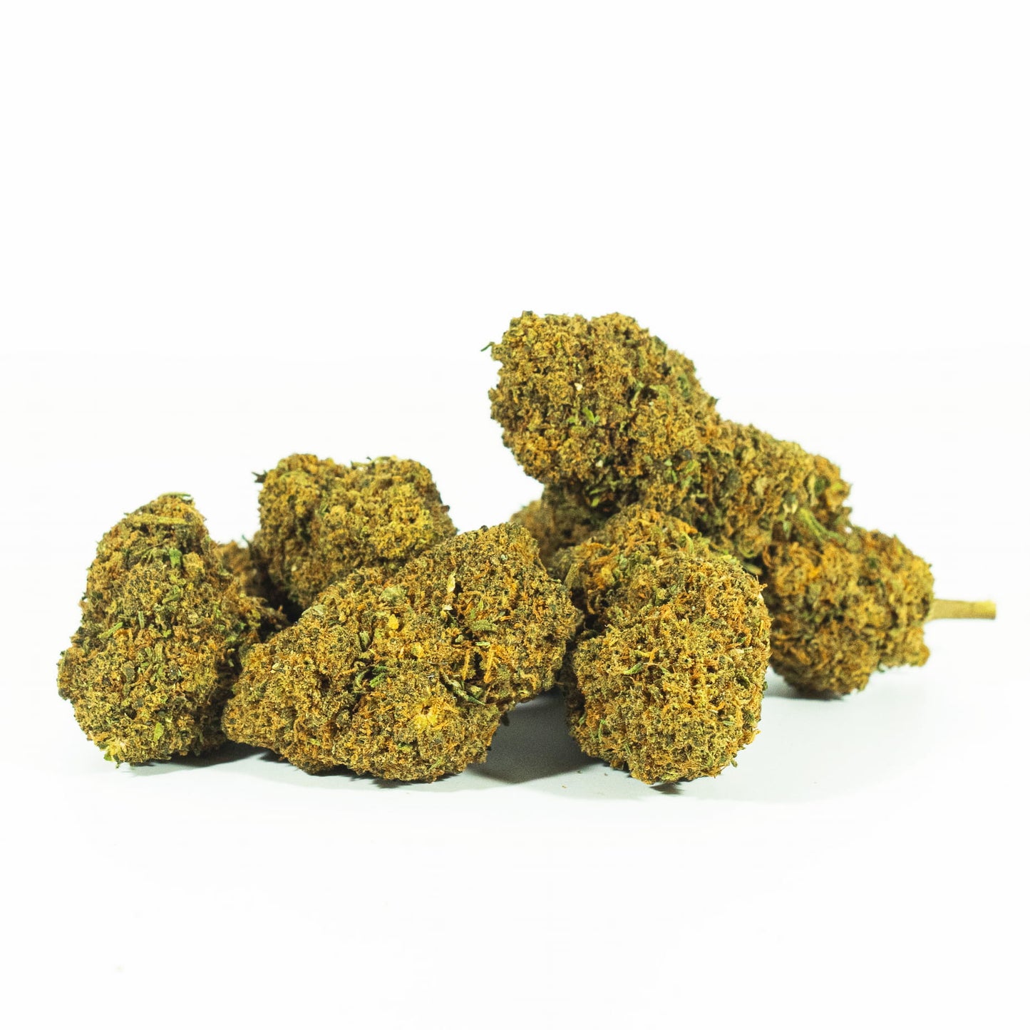 Canapa Cbd Mango Kush 3,5 gr. Solo per i fan del Cbd