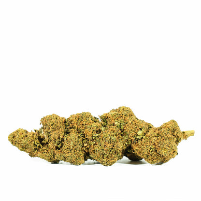 Cañamo Cbd Orange Bud 25 gr. Only Cbd Fans