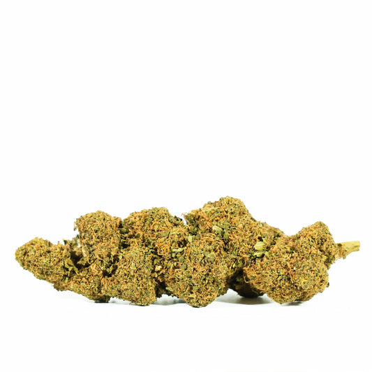Cañamo Cbd Orange Bud 25 gr. Only Cbd Fans
