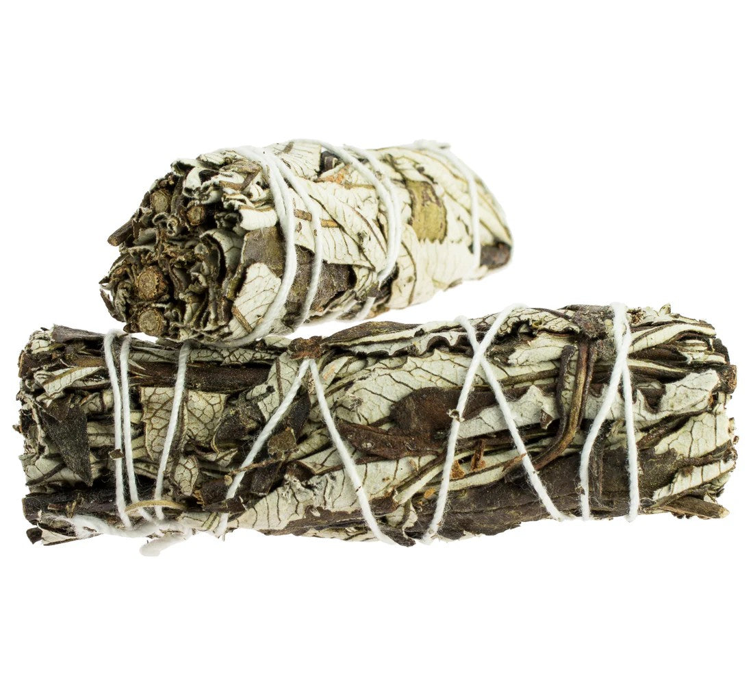 Yerba Santa Atado 8 a 10 cm.
