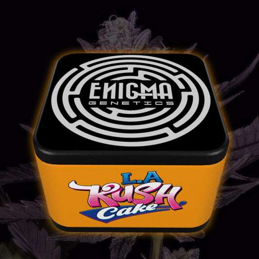 LA Kush Cake 3 pc. fem Enigma Genetics