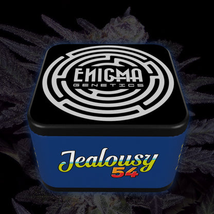 Jealousy 54 - 3 u. fem Enigma Genetics