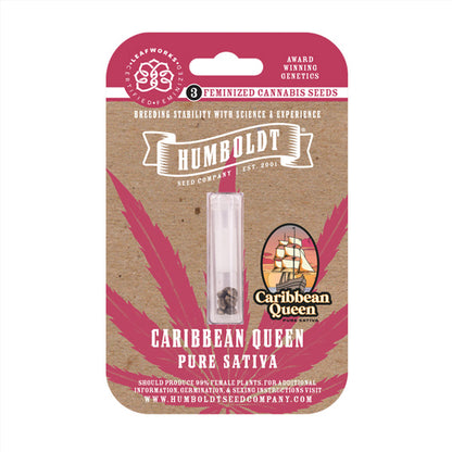 Caribbean Queen 3 feminized seeds Humboldt Seed Company