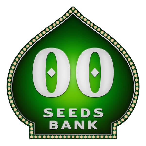 Auto Afghan Mass   5 u. fem. 00 Seeds