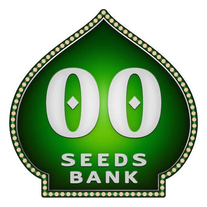 Auto Afghan Mass   5 u. fem. 00 Seeds