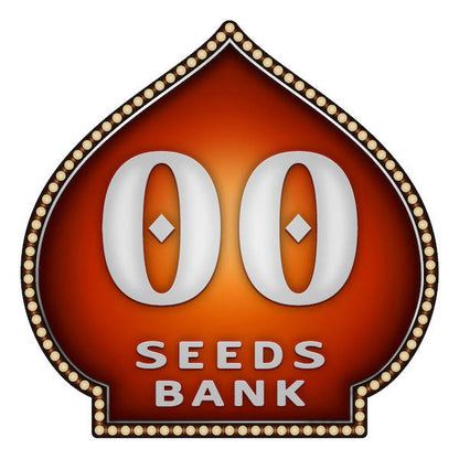 Auto Chocolate Skunk   5 u. fem. 00 Seeds