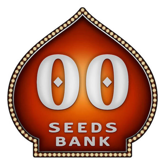 Auto Chocolate Skunk   5 u. fem. 00 Seeds
