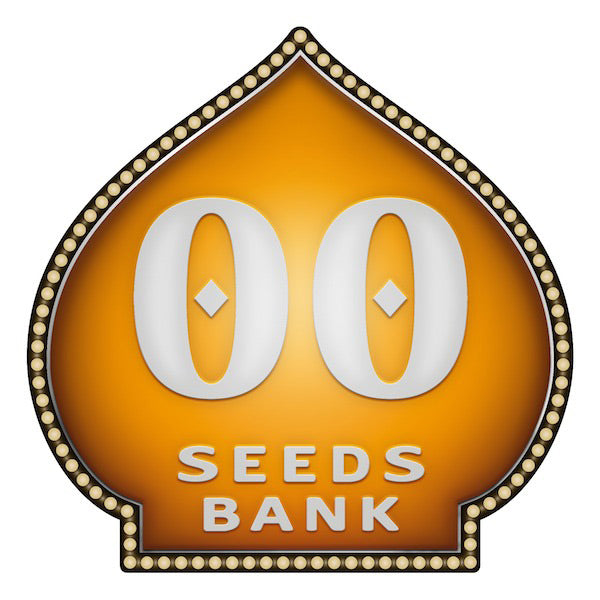 Cheese Berry   5 u. fem. 00 Seeds