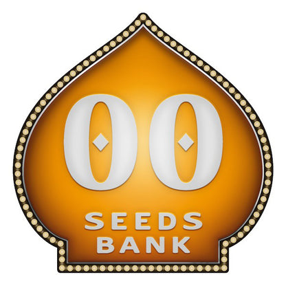 Cheese Berry   5 u. fem. 00 Seeds
