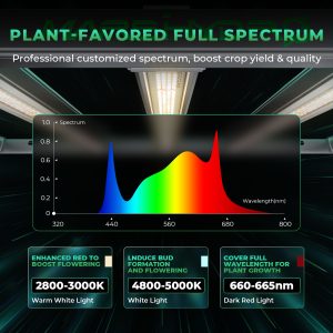 LED Mars Hydro FC-E8000 800W Bridgelux