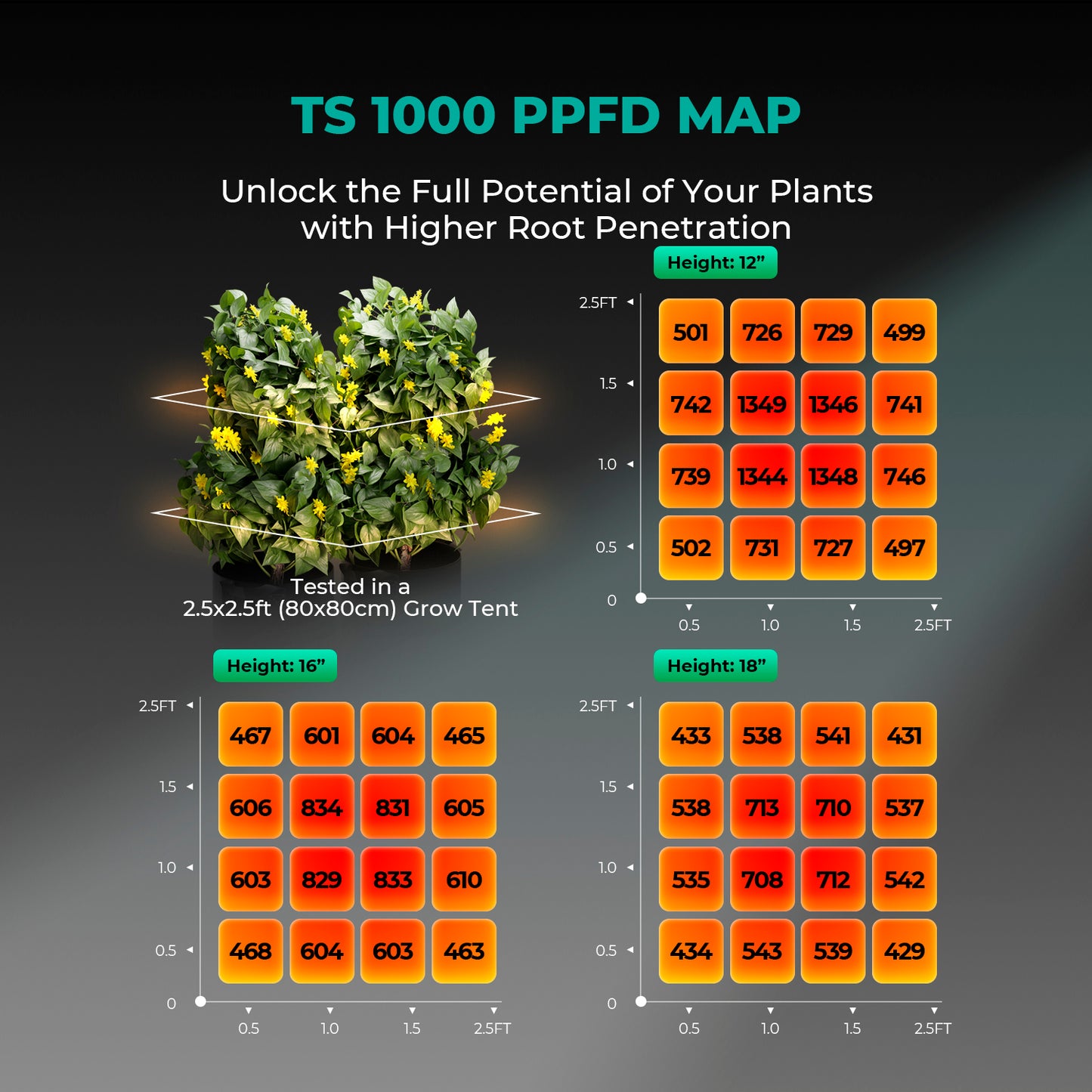 LED Mars Hydro TS 1000