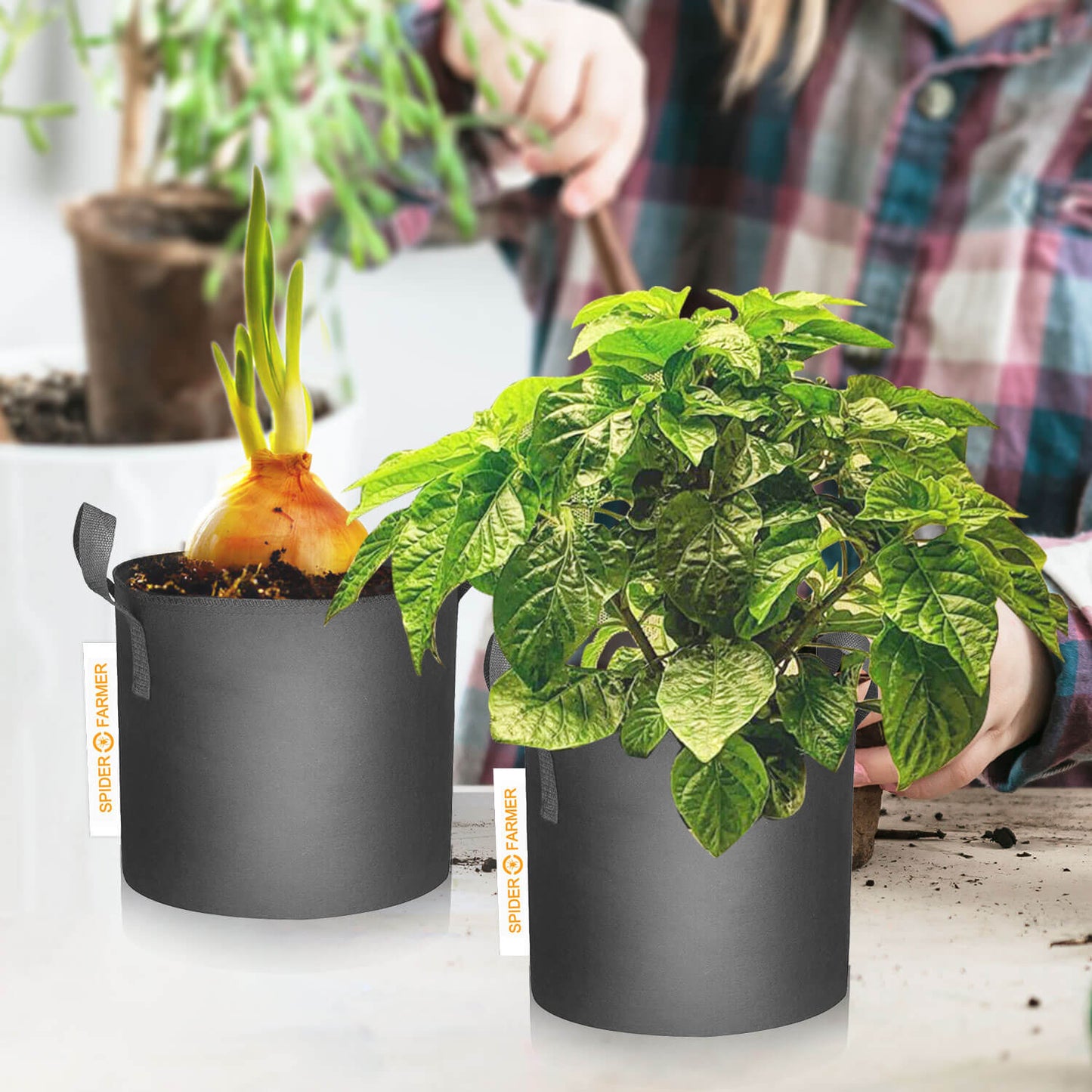 Macetas de Tela Spider Farmer 11 Gal